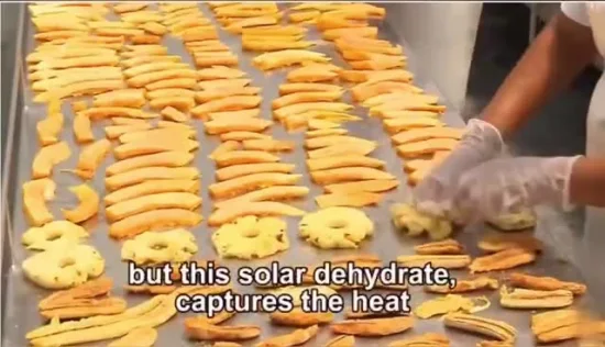 Hecho en invernadero de la máquina del secador solar de la verdura de la fruta del almacén de la alta eficiencia de China